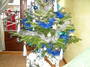 Sapin de Noël 2010 sapin_noel_2010_001