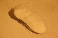 SaintéLyon 2010 – Album photo SaintéLyon 2010 – Album photo