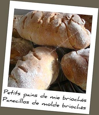 Petits pains de mie briochés - Panecillos de molde manera brioche