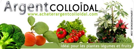argent-colloidal-et-plantes-1 L’argent Colloidal et les Plantes