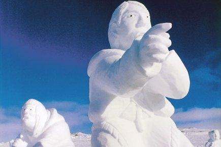 Carton, sel fin, soupe ou tôle neige-appellation04.jpg