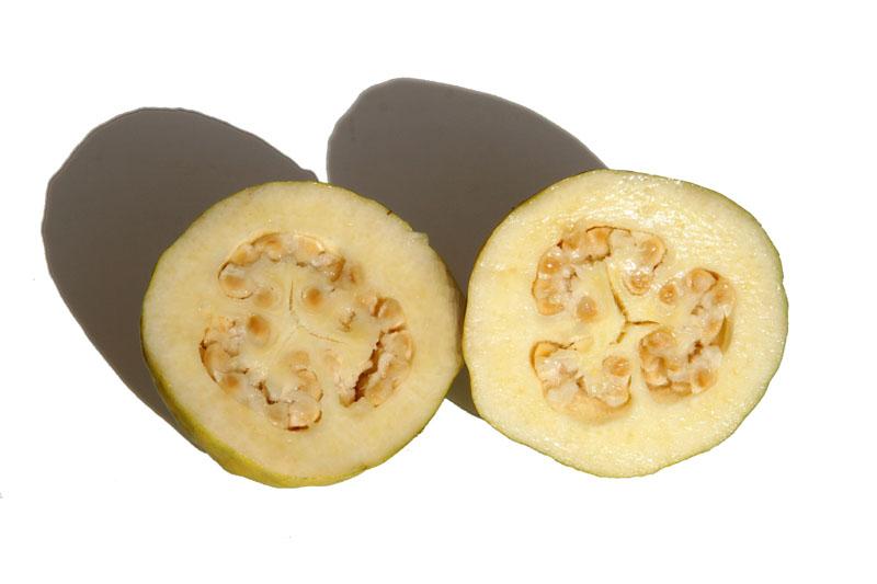 Guava white goyave blanche guaiava