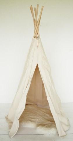 Cher papa Noël tipi1.jpg