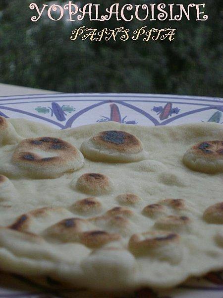 LES PAINS SE SUCCEDENT DANS MA CUISINE SANS SE RESSEMBLER: PITA Diapositive2-copie-5