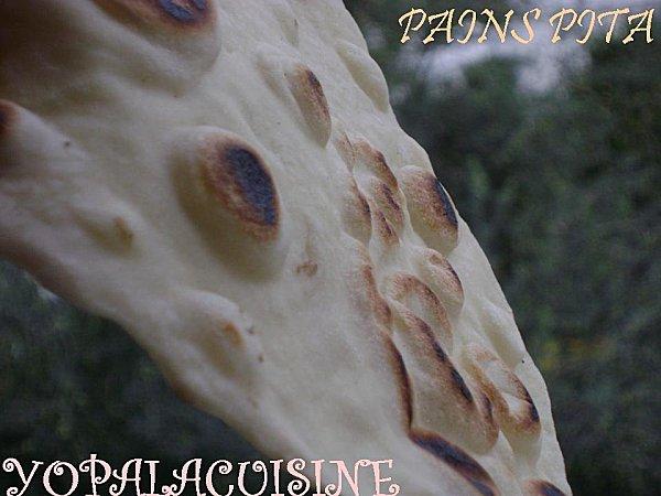 LES PAINS SE SUCCEDENT DANS MA CUISINE SANS SE RESSEMBLER: PITA Diapositive1-copie-5