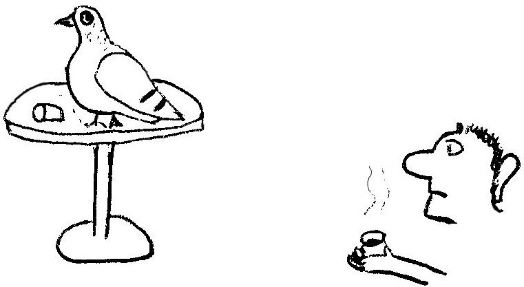 pigeon table Demain, le règne du pigeon ?