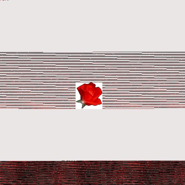 Tarte soufflée aux oignons et viande hachée Bonne nuit