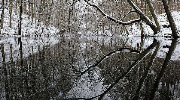 HAIKU DU MOIS HIVER3.jpg