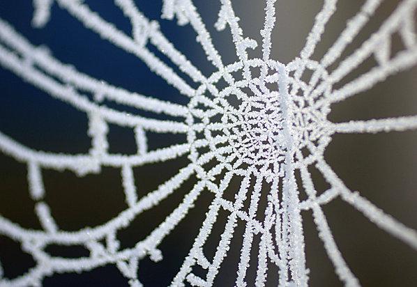 HAIKU DU MOIS HIVER4.jpg