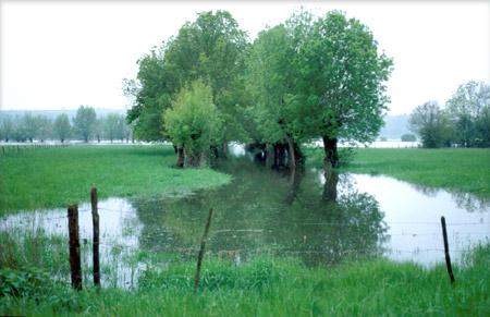 Faut-il construire sur les zones inondables franciliennes ?