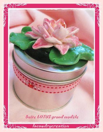 LE COMPTE A REBOURS EST LANCE boite_acier_lotus_G_M