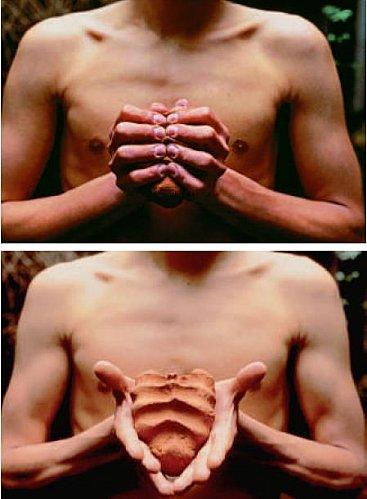 Gabriel Orozco My Hands are My Heart-1991