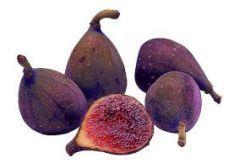 figues.jpg