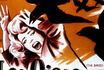 alfred hitchcock auteur theory essay alfred hitchcock auteur theory essay