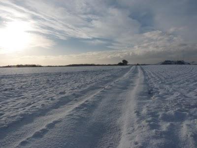 Pourquoi tant de beauté ? Pourquoi tant de beauté ?