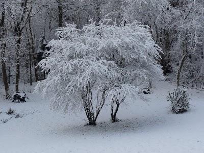 Pourquoi tant de beauté ? Pourquoi tant de beauté ?