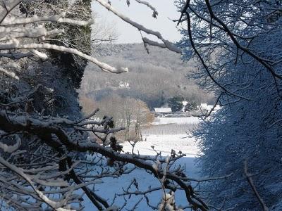 Pourquoi tant de beauté ? Pourquoi tant de beauté ?