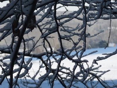 Pourquoi tant de beauté ? Pourquoi tant de beauté ?