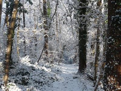 Pourquoi tant de beauté ? Pourquoi tant de beauté ?