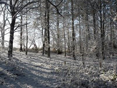 Pourquoi tant de beauté ? Pourquoi tant de beauté ?