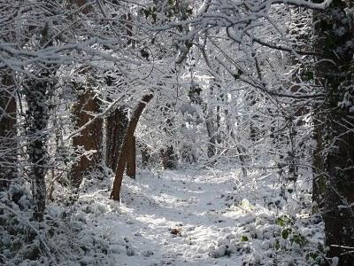 Pourquoi tant de beauté ? Pourquoi tant de beauté ?