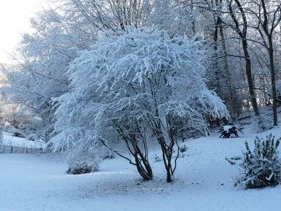 Pourquoi tant de beauté ? Pourquoi tant de beauté ?