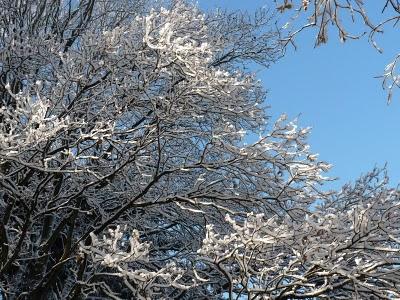 Pourquoi tant de beauté ? Pourquoi tant de beauté ?