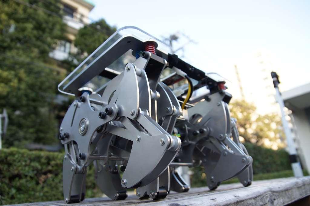 Land Crawler eXtreme, un robot avec 12 jambes.