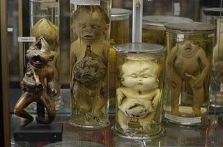 Je ne sais pas quoi en penser et vous ? Je ne sais pas quoi en penser et vous ?