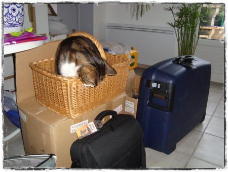 16 décembre 2010, voyage mouvementé vers la Lorraine 16 décembre 2010, voyage mouvementé vers la Lorraine