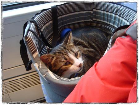 16 décembre 2010, voyage mouvementé vers la Lorraine 16 décembre 2010, voyage mouvementé vers la Lorraine