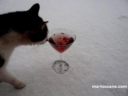 Cocktail à la Framboise