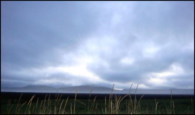 Islande lumiere crepuscule Phoques d’Islande