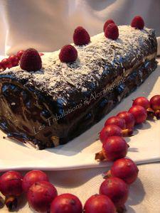 Bûche aux framboises nappage chocolat DSC02385