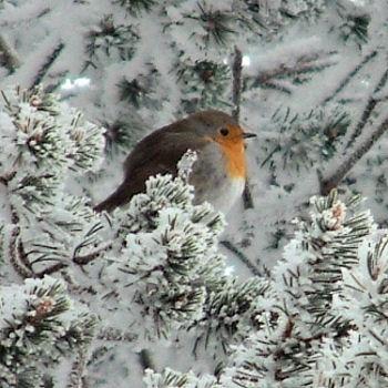 L'HIVER DES POETES