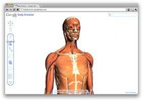 google-body-browser-francais.jpg