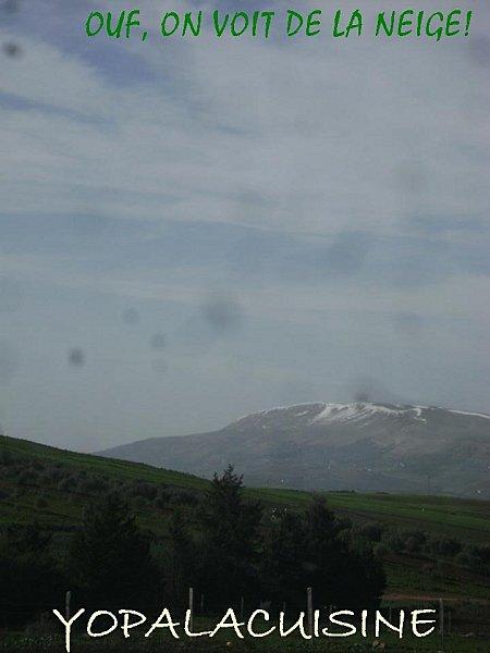 JE, TU, IL, NOUS MACARONNONS! Diapositive1-copie-7