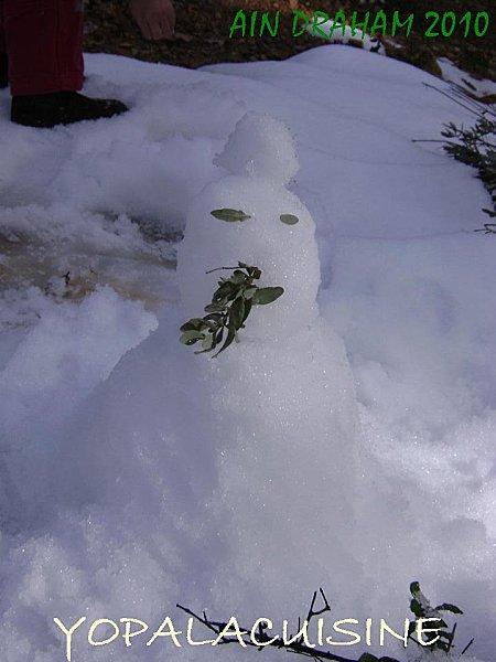 JE, TU, IL, NOUS MACARONNONS! Diapositive4-copie-3