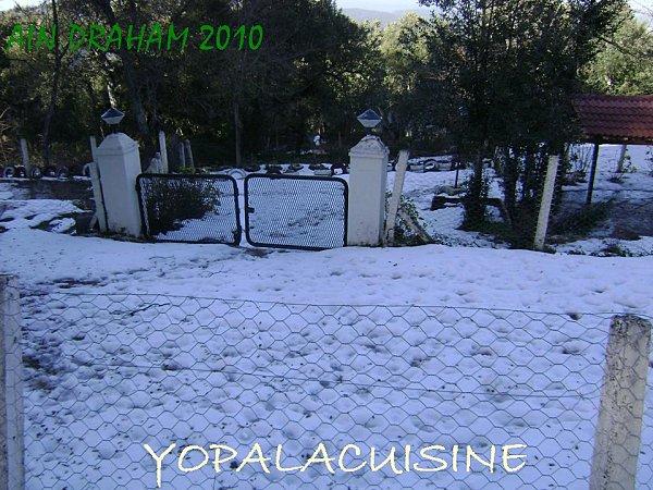 JE, TU, IL, NOUS MACARONNONS! Diapositive7