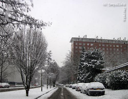 La patinoire lilloise de l'hiver. Boulevard de Metz sous la neige