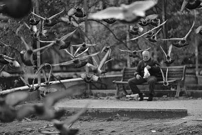 Déglacage Déglacage