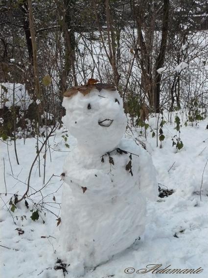 Le petit Poucet & le Bonhomme de neige P1080243Bonhomme 1 copie