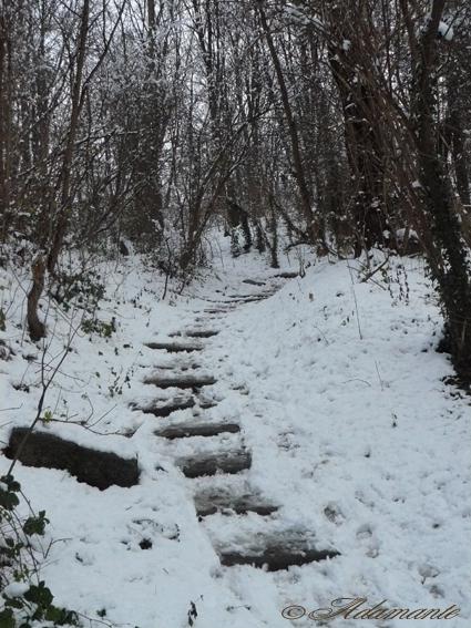 Le petit Poucet & le Bonhomme de neige P1080225chemin-escalier-copie.jpg