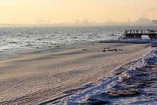 Financier gourmand aux noix de pécan et cranberries fraîches Financier gourmand aux noix de pécan et cranberries fraîches