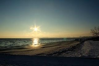 Financier gourmand aux noix de pécan et cranberries fraîches Financier gourmand aux noix de pécan et cranberries fraîches