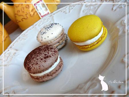 Petites idées pour Noël... macarons