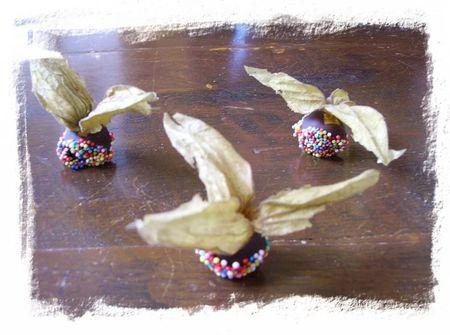 Petites idées pour Noël... physalis