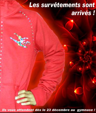 Les survêtements du club sont arrivés ! :) Les survêtements du club sont arrivés !