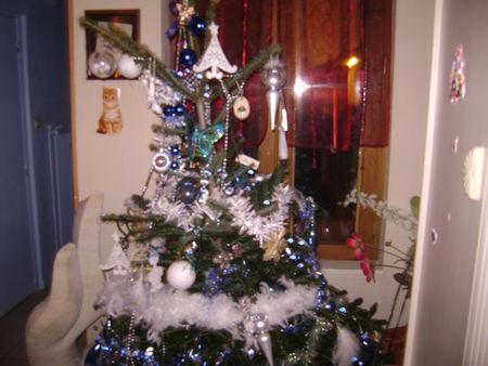 Joyeux Noël ! DSC07991