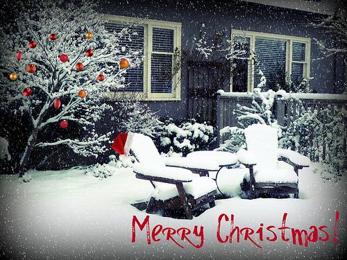 Merry... merrychristmas